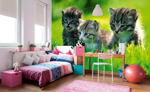 dimex kittens Fotomural Tejido No Tejido 375x250cm 5 Tiras Ambiente d2960498 aae7 41e7 9629 4d042c4c14fa | Yourdecoration.es