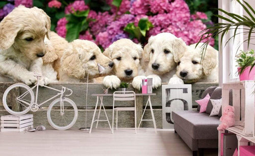 dimex labrador puppies Fotomural Tejido No Tejido 375x250cm 5 Tiras Ambiente c6b3ef7b 334a 4c85 b2e9 fdf453f8648d | Yourdecoration.es