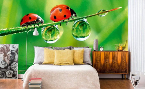 dimex ladybird Fotomural Tejido No Tejido 375x250cm 5 Tiras Ambiente 5828b0f7 f830 4b69 a03d a76229072599 | Yourdecoration.es