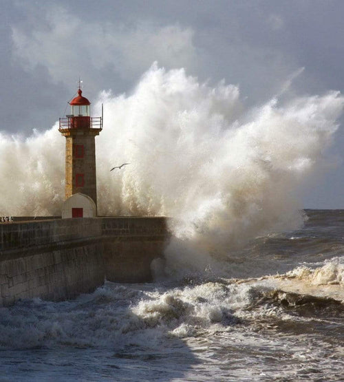 dimex lighthouse Fotomural Tejido No Tejido 225x250cm 3 Tiras 9d18a397 369f 4821 9b10 5eb164215d84 | Yourdecoration.es