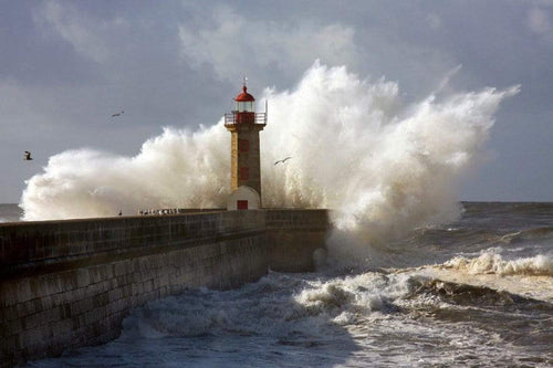 dimex lighthouse Fotomural Tejido No Tejido 375x250cm 5 Tiras cf302b89 ca80 4976 b241 b219404f2a51 | Yourdecoration.es