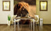 dimex lion Fotomural Tejido No Tejido 225x250cm 3 Tiras Ambiente c5aea89f 8828 4bb9 8806 6295e3f79f5f | Yourdecoration.es