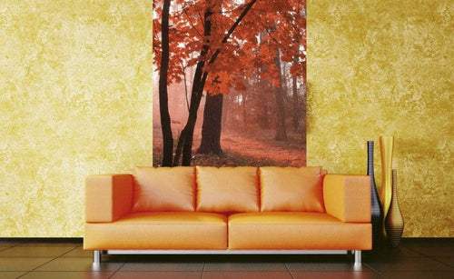 dimex misty forest Fotomural Tejido No Tejido 150x250cm 2 Tiras Ambiente 7add320a b296 446f 9f51 5835f7e43245 | Yourdecoration.es