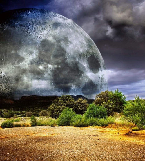 dimex moon Fotomural Tejido No Tejido 225x250cm 3 Tiras 6235eded f2ca 46a6 ac65 5b455188992b | Yourdecoration.es