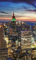 dimex new york skyscrapers Fotomural Tejido No Tejido 150x250cm 2 Tiras f296112a 92db 4b8e a5d7 8ed66e3ccb9b | Yourdecoration.es