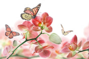 dimex orchids and butterfly Fotomural Tejido No Tejido 375x250cm 5 Tiras 5a4aab15 ee48 43a8 868d 2bc8a4bfb035 | Yourdecoration.es