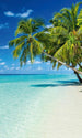 dimex paradise beach Fotomural Tejido No Tejido 150x250cm 2 Tiras 4f446647 3e56 4566 be16 28f7d0ade995 | Yourdecoration.es