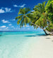 dimex paradise beach Fotomural Tejido No Tejido 225x250cm 3 Tiras 8c1abb72 026c 49f7 9c44 e1d4d52384ef | Yourdecoration.es