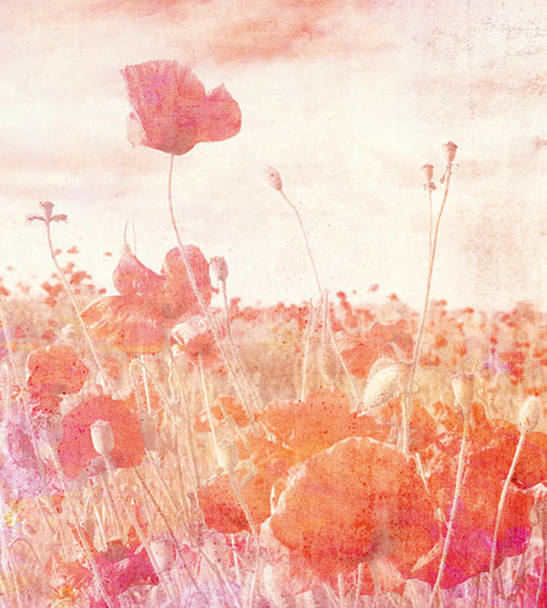 dimex poppies abstract Fotomural Tejido No Tejido 225x250cm 3 Tiras | Yourdecoration.es