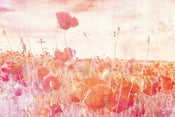 dimex poppies abstract Fotomural Tejido No Tejido 375x250cm 5 Tiras | Yourdecoration.es