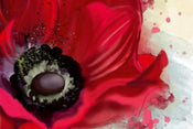 dimex poppy Fotomural Tejido No Tejido 375x250cm 5 Tiras 45d1a6ed da48 41aa aea6 e1e13bf4b9b5 | Yourdecoration.es