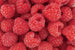 dimex raspberry Fotomural Tejido No Tejido 375x250cm 5 Tiras 929545b3 c8ae 4cf4 982f a82ed3f9482e | Yourdecoration.es