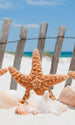 dimex starfish Fotomural Tejido No Tejido 150x250cm 2 Tiras | Yourdecoration.es