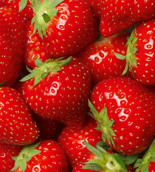 dimex strawberry Fotomural Tejido No Tejido 225x250cm 3 Tiras | Yourdecoration.es