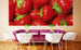 dimex strawberry Fotomural Tejido No Tejido 375x150cm 5 Tiras Ambiente | Yourdecoration.es