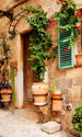 dimex street garden Fotomural Tejido No Tejido 150x250cm 2 Tiras | Yourdecoration.es