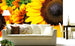 dimex sunflowers Fotomural Tejido No Tejido 375x250cm 5 Tiras Ambiente | Yourdecoration.es