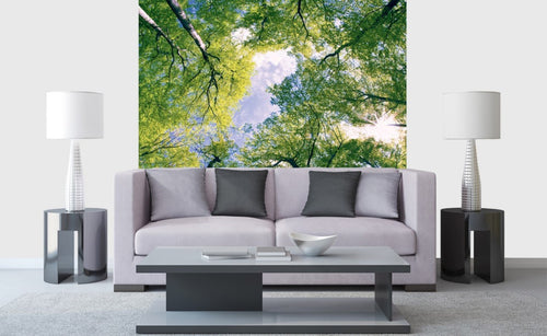 dimex trees Fotomural Tejido No Tejido 225x250cm 3 Tiras Ambiente | Yourdecoration.es