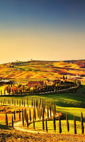 dimex tuscany Fotomural Tejido No Tejido 150x250cm 2 Tiras | Yourdecoration.es