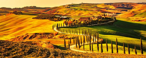 dimex tuscany Fotomural Tejido No Tejido 375x150cm 5 Tiras | Yourdecoration.es