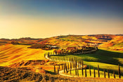 dimex tuscany Fotomural Tejido No Tejido 375x250cm 5 Tiras | Yourdecoration.es