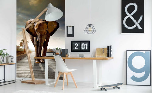 dimex walking elephant Fotomural Tejido No Tejido 150x250cm 2 Tiras Ambiente | Yourdecoration.es