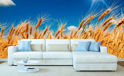 dimex wheat field Fotomural Tejido No Tejido 375x250cm 5 Tiras Ambiente | Yourdecoration.es