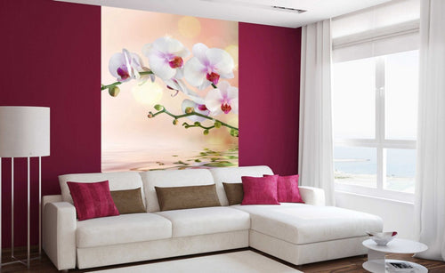 dimex white orchid Fotomural Tejido No Tejido 150x250cm 2 Tiras Ambiente | Yourdecoration.es