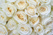 dimex white roses Fotomural Tejido No Tejido 375x250cm 5 Tiras | Yourdecoration.es