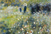 dimex woman in garden Fotomural Tejido No Tejido 375x250cm 5 Tiras | Yourdecoration.es