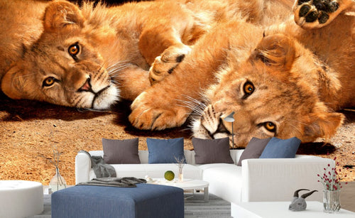 dimex young lions Fotomural Tejido No Tejido 375x250cm 5 Tiras Ambiente | Yourdecoration.es