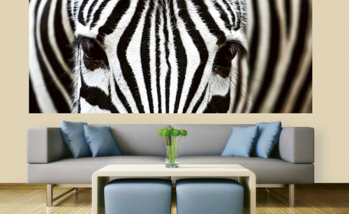 dimex zebra Fotomural Tejido No Tejido 375x150cm 5 Tiras Ambiente | Yourdecoration.es