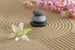 dimex zen garden Fotomural Tejido No Tejido 375x250cm 5 Tiras | Yourdecoration.es