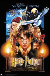 Grupo Erik GPE5054 Harry Potter And The Sorcerers Stone Póster 61X91,5cm | Yourdecoration.es