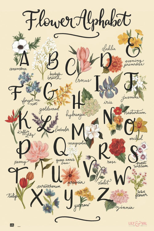 Grupo Erik GPE5323 Lily And Val Flowers Alphabet Póster 61X91,5cm | Yourdecoration.es