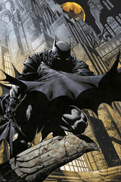 Grupo Erik GPE5340 Dc Comics Batman Gargoyle Póster 61X91,5cm | Yourdecoration.es