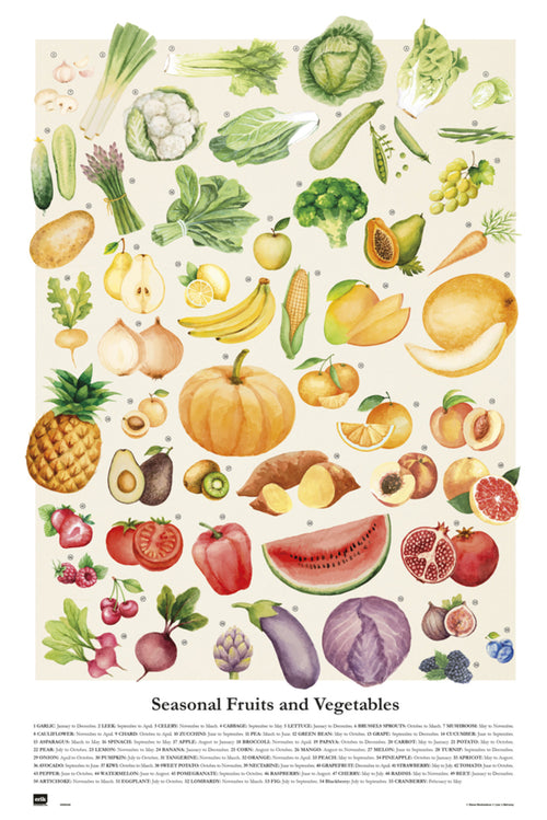 Grupo Erik GPE5349 Vegetales Y Frutas De Temporada Póster 61X91,5cm | Yourdecoration.es