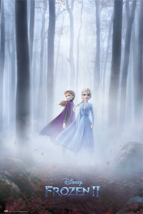 Grupo Erik GPE5385 Disney Frozen Sisters Póster 61X91,5cm | Yourdecoration.es