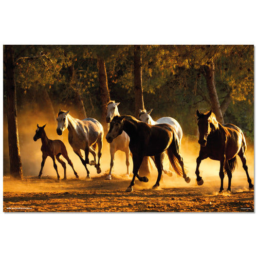 Grupo Erik GPE5532 Andalusian Horses Póster 91,5X61cm | Yourdecoration.es