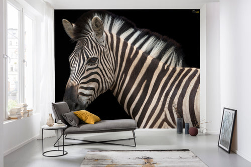 komar damara zebra Fotomural Tejido No Tejido 400x280cm 6 Partes Ambiente | Yourdecoration.es