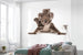 komar koala Fotomural Tejido No Tejido 300x280cm 6 Partes Ambiente | Yourdecoration.es