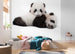 komar reuzenpanda Fotomural Tejido No Tejido 300x280cm 6 Partes Ambiente | Yourdecoration.es