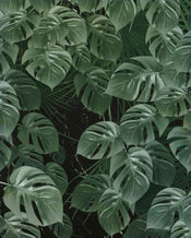 p035 vd2 komar monstera on marble Fotomural Tejido No Tejido 200x250cm 2 Tiras | Yourdecoration.es