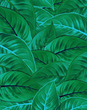 p044 vd2 komar jungle leaves Fotomural Tejido No Tejido 200x250cm 2 Tiras | Yourdecoration.es