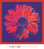 Andy Warhol  Daisy 1982 Reproducción de arte 90x90cm | Yourdecoration.es