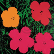 Andy Warhol  Flowers C. 1964 Reproducción de arte 60x60cm | Yourdecoration.es