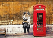 Edition Street  Red Telephone Box Reproducción de arte 50x70cm | Yourdecoration.es