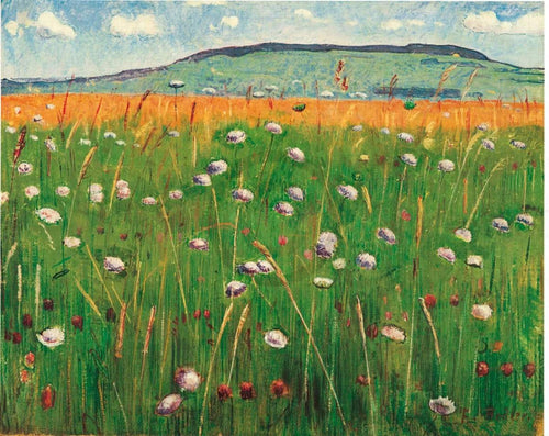 Ferdinand Hodler  WiesenstÃ¼ck 1900/1902 Reproducción de arte 60x48cm | Yourdecoration.es