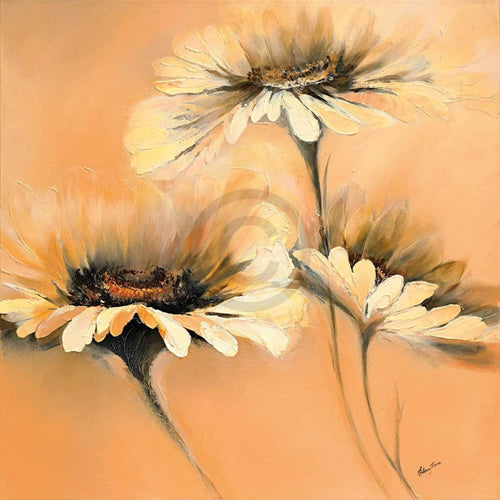 Elena Filatov  Apricot Summer I Reproducción de arte 70x70cm | Yourdecoration.es