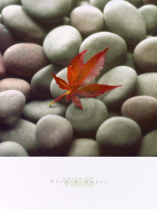 Glen & Gale Wans  Leaf on Stone Reproducción de arte 45x61cm | Yourdecoration.es